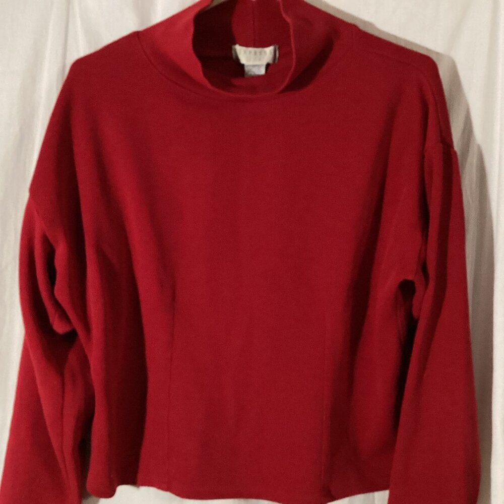 Express Red sweater